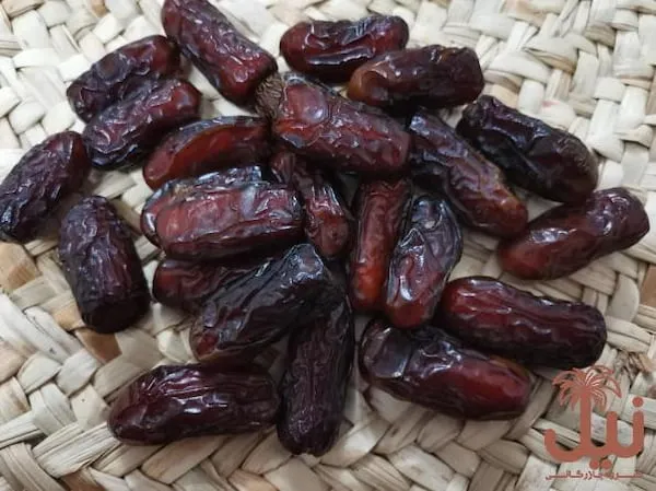 بهترین خرما پیارم حاجی اباد + قیمت خرید عالی