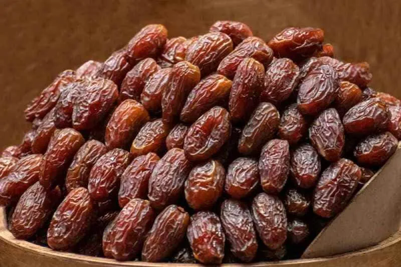 بهترین خرما مجول کدام است؟ + مقایسه کامل | قیمت عالی