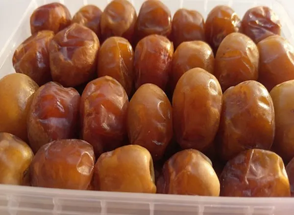خرید خرما برحی + معرفی کارخانه تولید و عرضه پخش