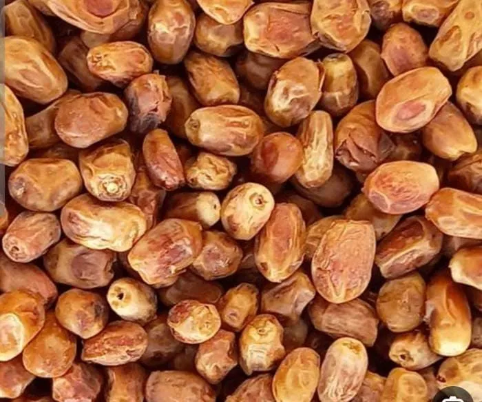 قیمت خرما زاهدی + خرید انواع متنوع خرما زاهدی