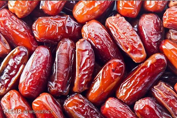 خرید و قیمت بهترین انواع خرما مجول