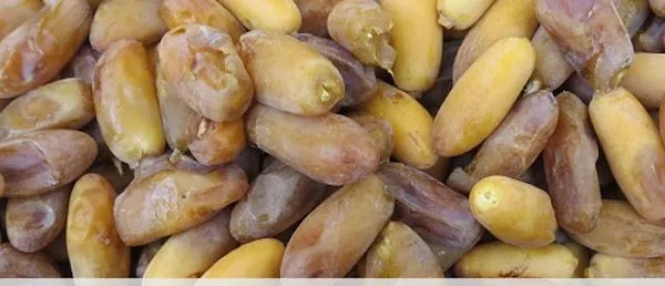 خرید و قیمت جدیدترین انواع خرما شاهانی درجه یک