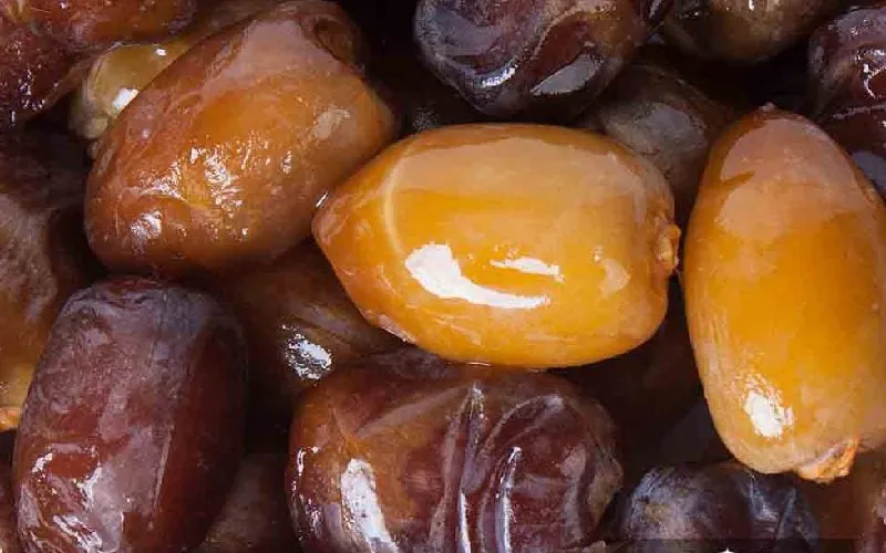 خرید خرما برحی + معرفی کارخانه تولید و عرضه پخش