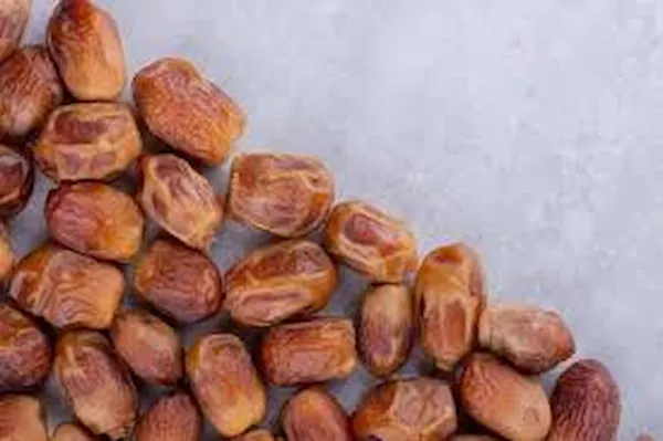 قیمت خرید خرما زاهدی عمده + راهنمای استفاده