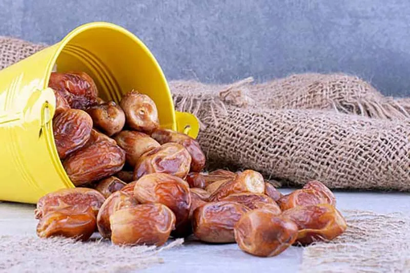 بهترین خرما خشک کدام است؟ + مقایسه کامل | قیمت عالی